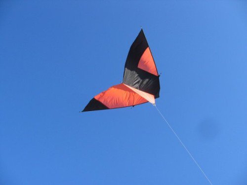 Cerf-volant 2005-06